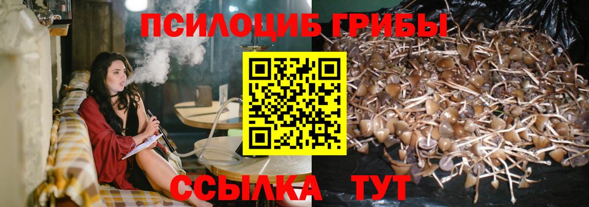Псилоцибиновые грибы Magic Shrooms Луга
